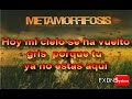 Metamorffosis - Cielo Gris (Letra)