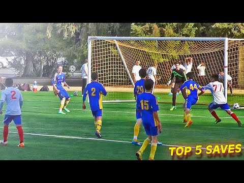 TOP 5 - Best Goalkeeper Saves I WEEK #01 2014