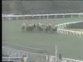 1976年皐月賞 - トウショウボーイ