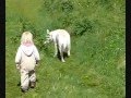 Weisser Schäferhund Heaven - White Shepherd