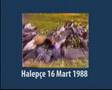 halepce