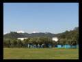 videos de E-SKY Honey Bee King ll