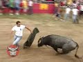 Canadian Bullfight - 2nd Running of the Bulls