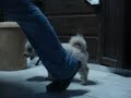 Poxa on Poxa Action!!! Poxa on Poxa Action!!!