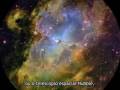 Percebendo a Realidade - Perceiving Reality