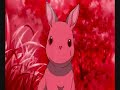 Mr. Wabbit