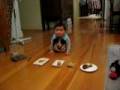 videos de birthday crawl