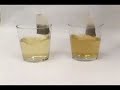 Amazing Vitamin, Mineral & Protein Absorbtion Amazing Vitamin, Mineral & Protein Absorbtion