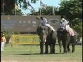 International Elephant Polo Championship Pooper Scoopers