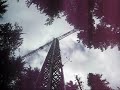 Wind River Canopy Crane