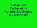 Passo-dos-Cachaceiro