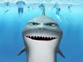 shark burping
