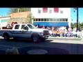 Woolly Bear 2008 4
