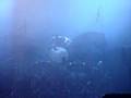 BRMC - Gospel @ Postbahnhof
