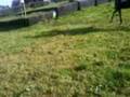 videos de me n candi xc.3GP