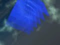 TRAPCODE HORIZEN & FORM in action TRAPCODE HORIZEN & FORM in action