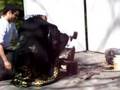 Forja de Katana