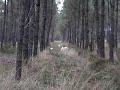 le lancer le lancer