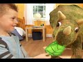 Playskool Kota Dinossauro Triceratops - Hasbro