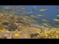 videos de Krabi and Southern Thailand