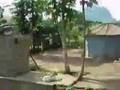 Train Tororo