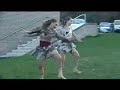 immersion dance company  presents 