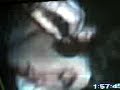 fjgh fjgh