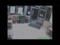 Bear Walks in Subway
