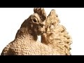 View Video