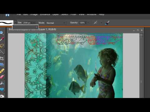 Use the brushes to erase with Photoshop Elements 6.0 Use the brushes to erase with Photoshop Elements 6.0