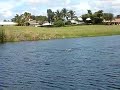 The Magic Flying Fish