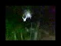 Midnigh Milk Splat