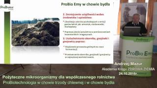 ProBio Emy w chowie bydła - Andrzej Mazur