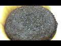 Click here to watch this video 【第4回】コーヒー豆保存方法検証：冷蔵（焙煎後1ヶ月経過）