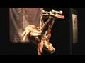 Body Worlds 3 News Report