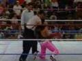 Bret Hart vs Irwyn R. Schyster - 1992