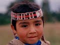 LOS MAPUCHE