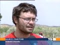 tg5 sui campi di lavoro