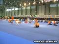 Népszigeti Kutyaiskola Bemutatója - Eurodogshow 2008
