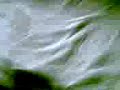 Swagat Sekhawatji.3gp