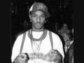 Cam'ron - Suga Duga