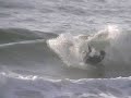 straddie shorey straddie shorey
