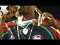 videos de Rabbitohs Tribal Tapestry v2