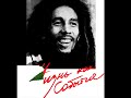 bob marly