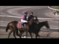 Jockeys - Fast Track Love