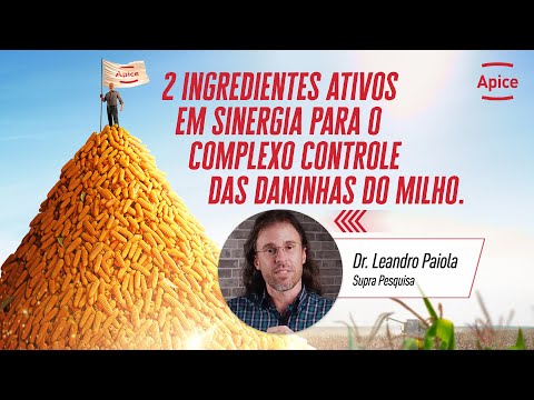 Evite os prejuízos causados pelas daninhas do milho com o manejo de resistência do Apice