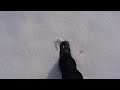Ho caricato un video di @YouTube http://t.co/0oeliyUb Le orme!