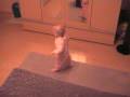 videos de MOV005.MOD