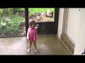 Isabelle in the Rain