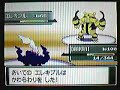 Pokemon Platinum - Top Trainer Cafe - Volkner Pokemon Platinum - Top Trainer Cafe - Volkner
